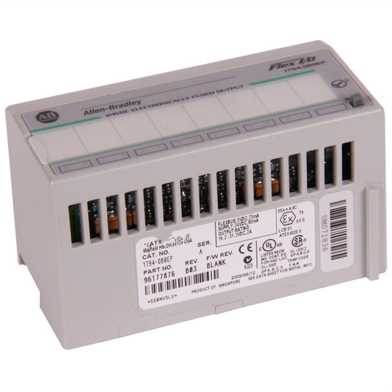 Allen Bradley 1794-IT8